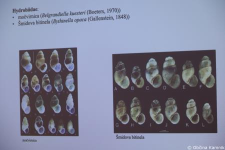 V Kamniško-Savinjskih Alpah nastala nova pohodniška pot (39)